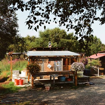a small cabin, made of a mix of wood and metal with many plastic buckets nearby