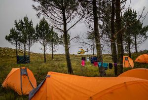 A helicopter approaches a camp for the tree-removal crew.