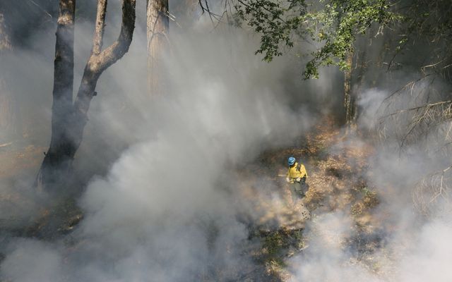 Aerial view of a firefighter walking among the forest and smoke during an Indigenous cultural burn.
