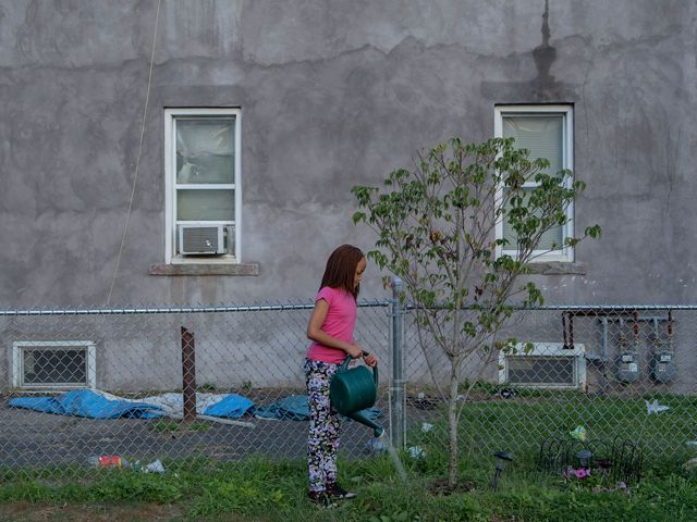 Una niña riega un árbol en su patio urbano en Bridgeport, Connecticut.