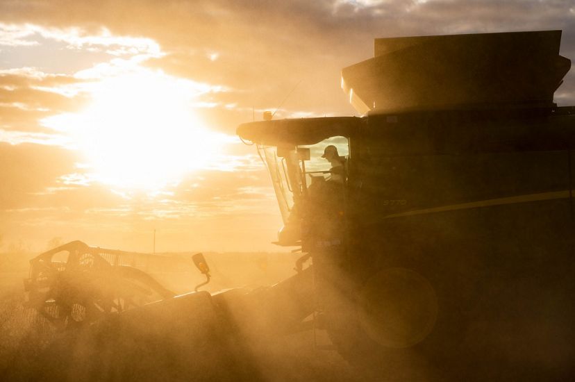The sun shines hazy light through farm equipment.