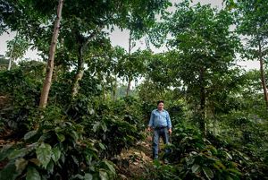 Rene Gaspar stands on his coffee plantation in La Igualdad, Guatemala.