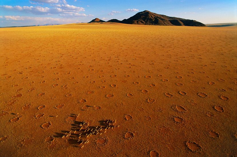 A zebra herd crosses Africa's Namib desert