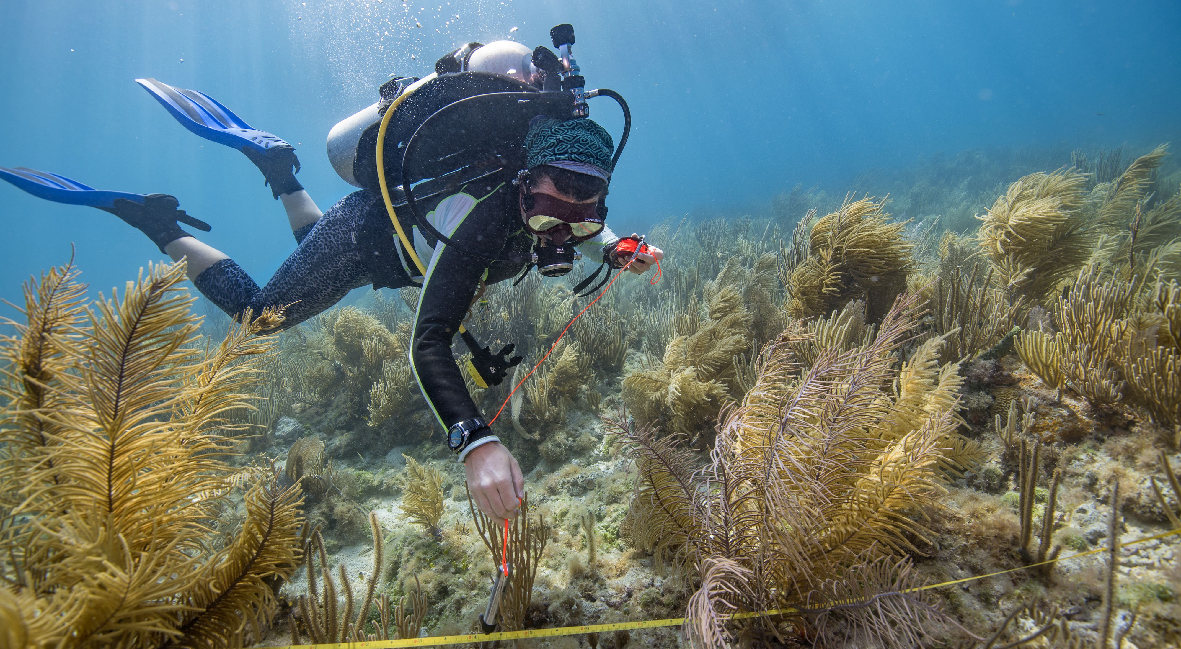 a graduate student, takes depth measurements of coral reefs.