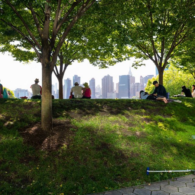 Gente sentada debajo de árboles viendo el horizonte de Nueva York.