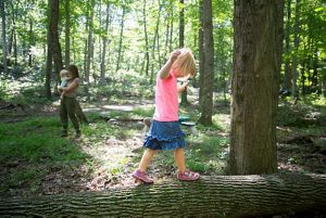 A young girl wearing a pink top and blue skirt balances on a fallen log in the middle of a sun dappled forest.