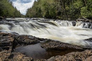 A closeup shot of the rushing water from river. 