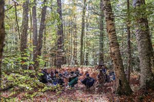 A group of people sitting in a circle in the woods.
