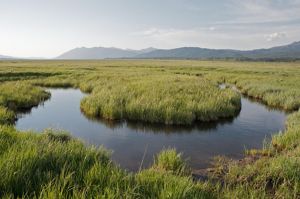 A meandering creek running through grassy fields with hills in the background.
