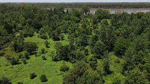 Aerial image of Mississippi wetland with hardwood trees and the Mississippi River in the background. 