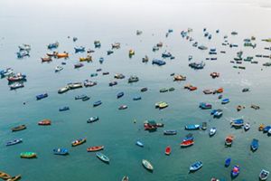 A birds-eye view of dozens of colorful fishing boats on the water.