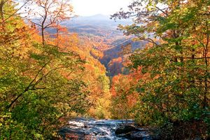 A view down to the valley below Amicalola Falls, with the leaves on the trees in all the hues of autumn.