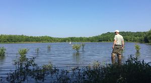 A man wearing tall wading boots stands in knee deep water in a large pond surrounded by trees and shrubs.
