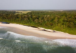 Aerial view of a beach along dense forest on Gabon's coastline.
