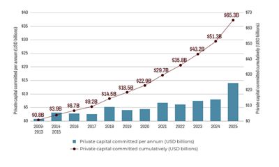 Chart showing increasing capital invested in nature from 2009 to 2025.