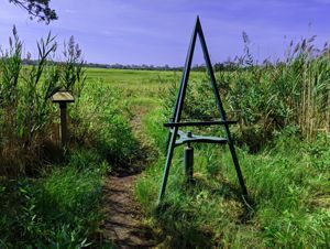 Art easel near tidal marsh. 