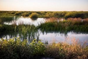 Sunset over the Gayini Wetlands