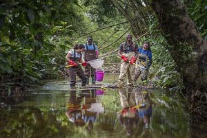 A group of scientists working in a river.
