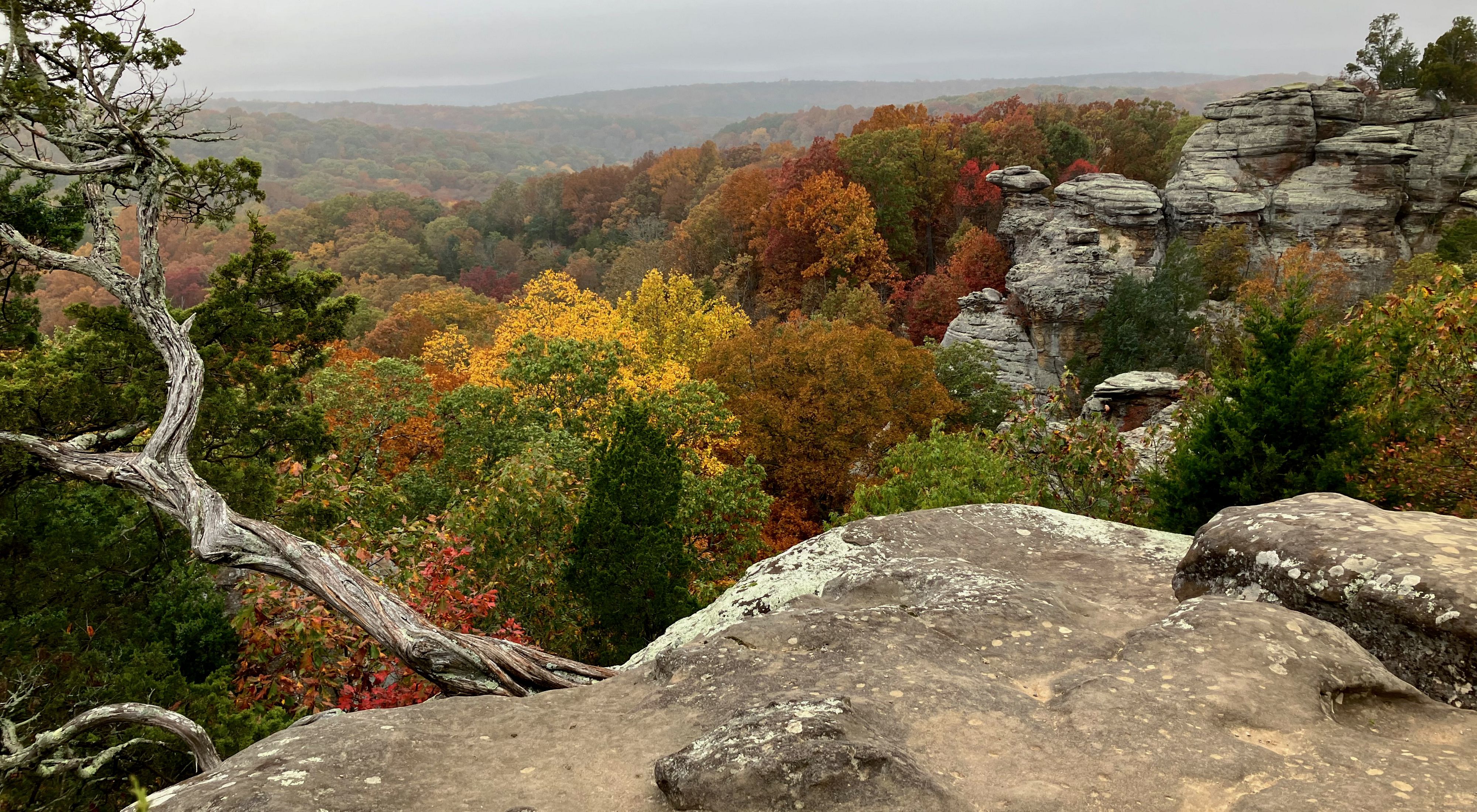Located in the Shawnee National Forest of Illinois.