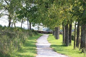 A paved path snakes through a grove of trees and tallgrass prairie at George Washington Carver National Monument in Missouri.