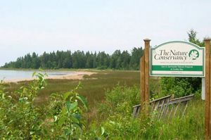 The Nature Conservancy sign on the right. On the left is shore that is sparse of plant life. 