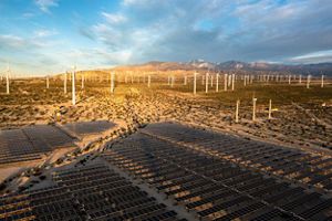 Solar panels with wind turbines in the background at sunset. 