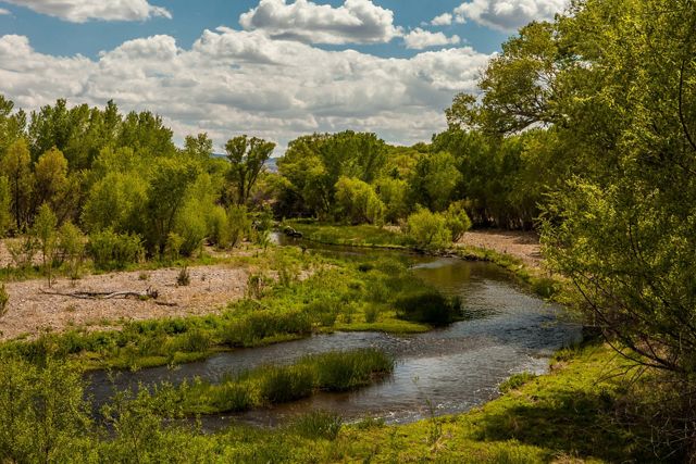The Conservancy’s Gila Riparian Preserve protects more than 1,200 acres of the Southwest’s fragile riparian habitat and the verdant gallery woodland along the river.