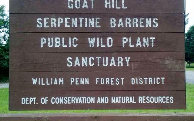 A wooden sign reading, Goat Hill Serpentine Barrens Public Wild Plant Sanctuary William Penn Forest District Dept. of Conservation and Natural Resources, welcomes visitors to the preserve.