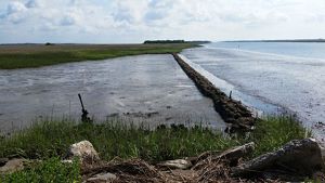 An area of marsh land flooded by the erosion of boats and heavy waves alongside the shore of the ocean.