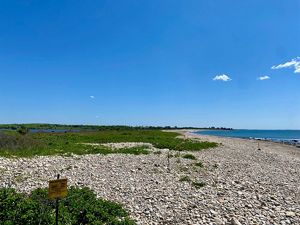 A narrow gravelly beach stretches to the horizon with vegetated dunes to the left and the ocean to the right.