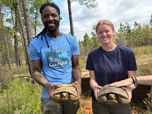 Two people hold large tortoises near a forest.