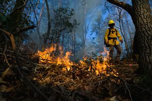 A man in fire gear stands behind a controlled burn.