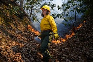 Conservation tech McKenzie Boyd using a drip torch.