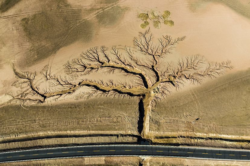 在中國西南部西藏的高速公路上，兩岸雨水形成的溝壑向外延伸成一棵大樹圖案。