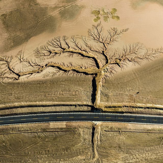 On either side of a highway, gullies formed by rainwater erosion span out like a tree in Tibet, an autonomous region in southwest China. 