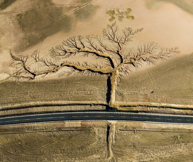在中國西南部西藏的高速公路上，兩岸雨水形成的溝壑向外延伸成一棵大樹圖案。