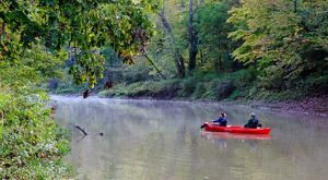 People in a kayak float down a tree lined river.