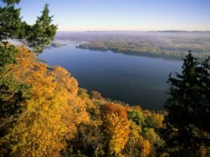 Aerial view of a wide river in a vast landscape of trees at Great River Bluffs State Park; a burst of yellow trees is in the foreground.