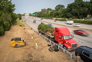 Cars speed by a flatbed semi truck parked on the shoulder of a highway, laden with mature trees ready for planting.