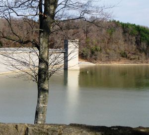 A concrete dam sits on a river behind a tree.