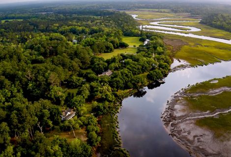 Slow water snakes through lush, green wetlands.