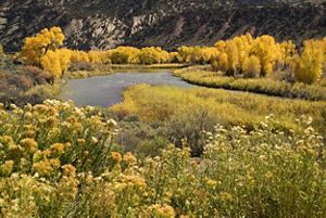 Golden yellow trees and vegetation line the banks of a river.