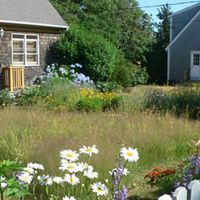 Matt Pelikan, restoration ecologist for The Nature Conservancy in Massachusetts, used Habitat Network principles to develop his yard as an oasis for wildlife on Martha’s Vineyard.