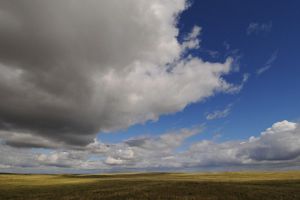 View of expansive grassland in Mongolia