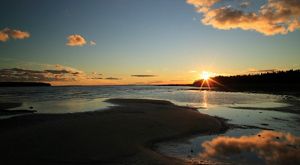 Sunset over forest preserve