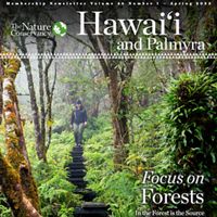 Cover of Nature In Hawaii newsletter. A person hiking down a set of stairs in a lush green forest.