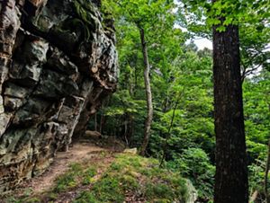 A large rock outcrop rises prominently above the surrounding landscape surrounded by forest.