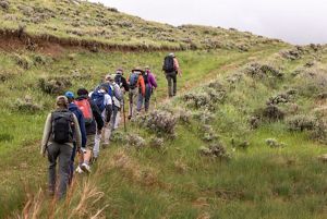 A line of hikers treks up a dirt path.