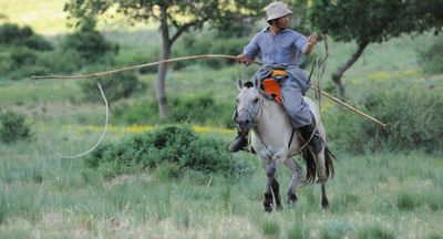 A herder on a horse with a lasso in Mongolia.