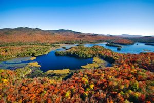Aerial view of fall-colored forest with blue pond.